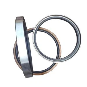 Visoka zmogljivost TC TB TA SA Tip FKM Viton Oil Seals